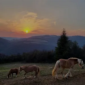  Bed & Breakfast Ca Montemezzano